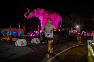 BIB: 
                            <button type="button" onclick="openModal(26552134)" class="btn btn-primary btn-sm float-right btn-popup" data-toggle="modal" data-target=".modal-high-quality">
                        <i class="fas fa-shopping-cart"></i> Add to Cart
                    </button>
                                            <button type="button" onclick="isThisMe(26552134, true)" class="btn btn-success btn-sm float-right btn-popup btn-isme hidden" data-toggle="tooltip" data-placement="bottom" title="นี่คือรูปของคุณใช่ไหม คลิกที่นี่เพื่อเอาเข้าอัลบั้ม">
                        <i class="fas fa-plus"></i> Add to album
                    </button>
                    <button type="button" onclick="isThisMe(26552134, false)" class="btn btn-warning btn-sm float-right btn-popup btn-isnotme hidden">
                        <i class="fas fa-ban"></i> Remove from album
                    </button>